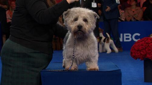 运动会策划与执行